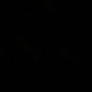 Meet your Posher, Alma